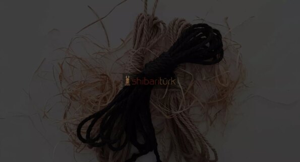 Shibari Çalışma Grubu