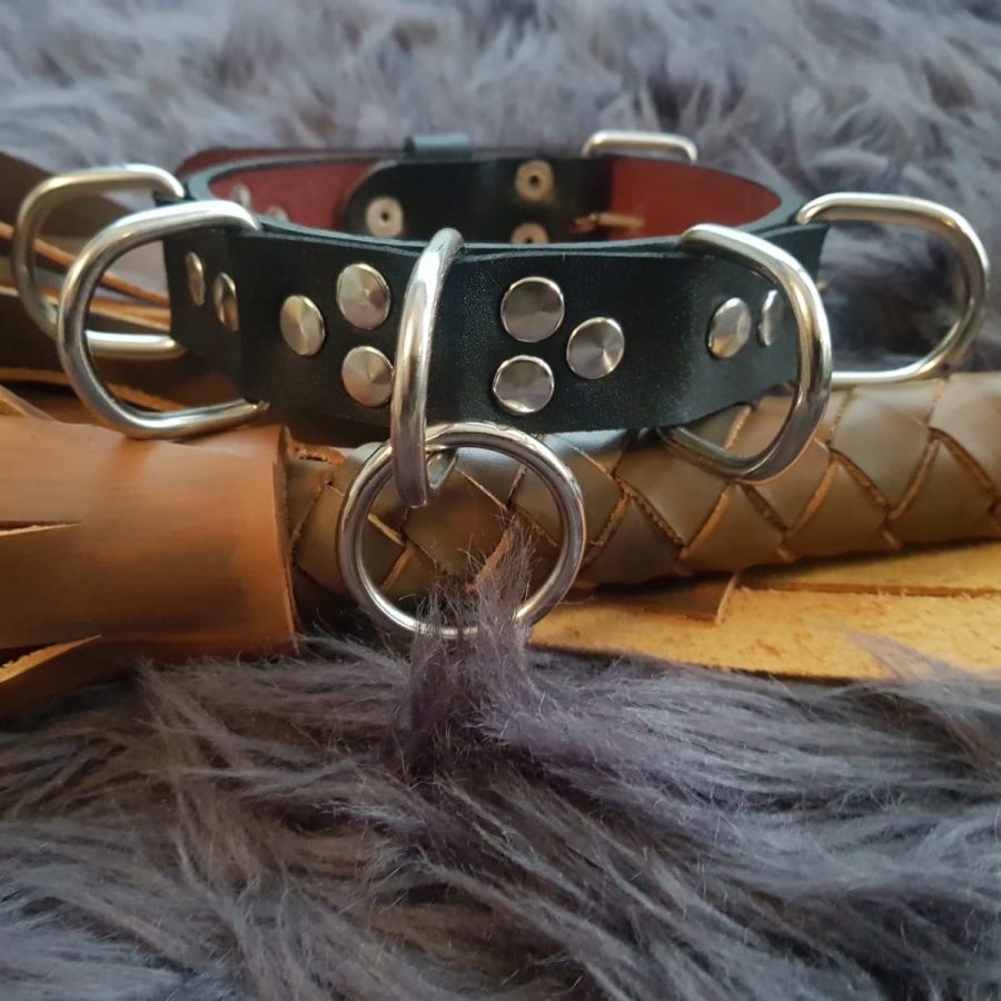 D slave collar