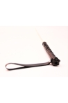 bdsm cane