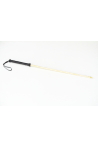 Bdsm cane