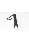 bdsm cane