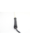 bdsm cane