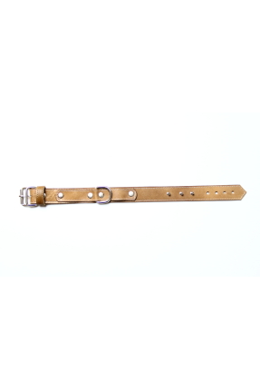Pet Play Collar "Thita"