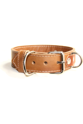 Pet Play Collar "Sigma"