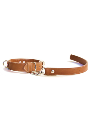 Pet Play Collar "Sigma"