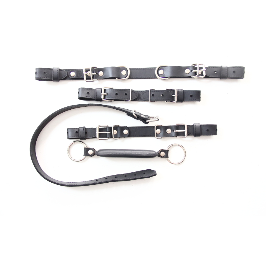 Pony Play Bit Gag Head Harness + Bit Gag