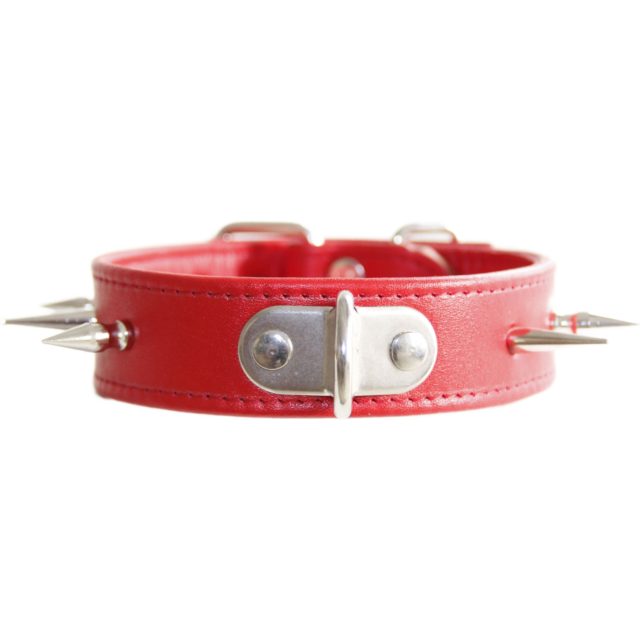 Spiked Trainin Collar