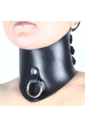 Mono BDSM Posture Collar