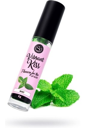 SECRET PLAY Dudak Parlatıcı Nane Aromalı, 6 gr