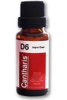 Cantharis-d6-damla-13437-1