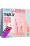 Censan-kilot-ici-vibrator-telefon-kontrollu-311961-1