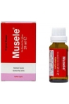 Musele-damla-9408-1