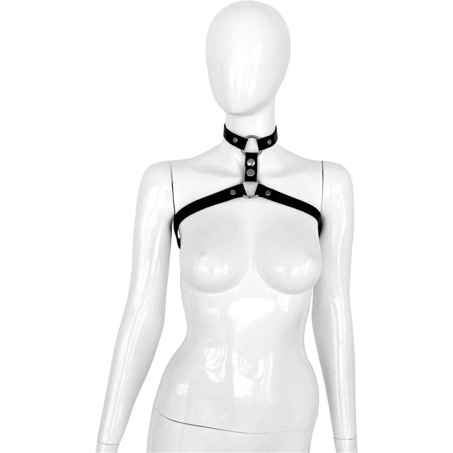 Chest & neck harness