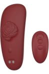 chisa-kissen-multiflora-1030013-1