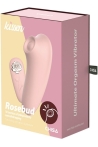 Chisa-kissen-rosebud-1030063-1