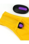 censan-bitch-vibrating-panties-camasir-ve-kumanli-vibrator-1126129-1