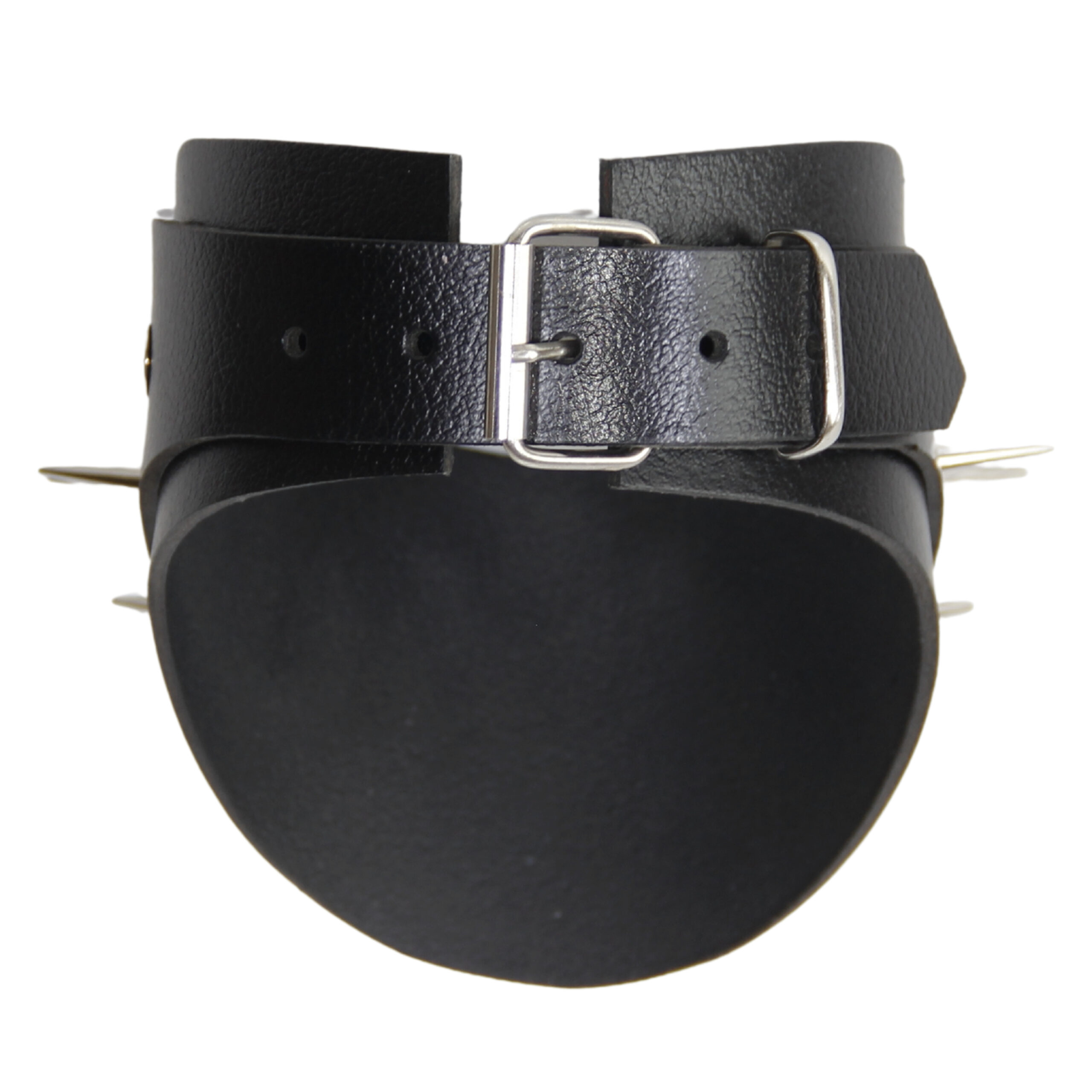 Layka Spiked Posture Collar - Görsel 4